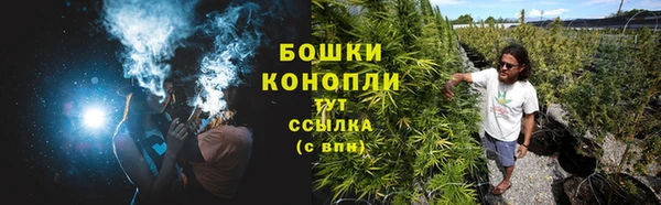 PSILOCYBIN Вязники